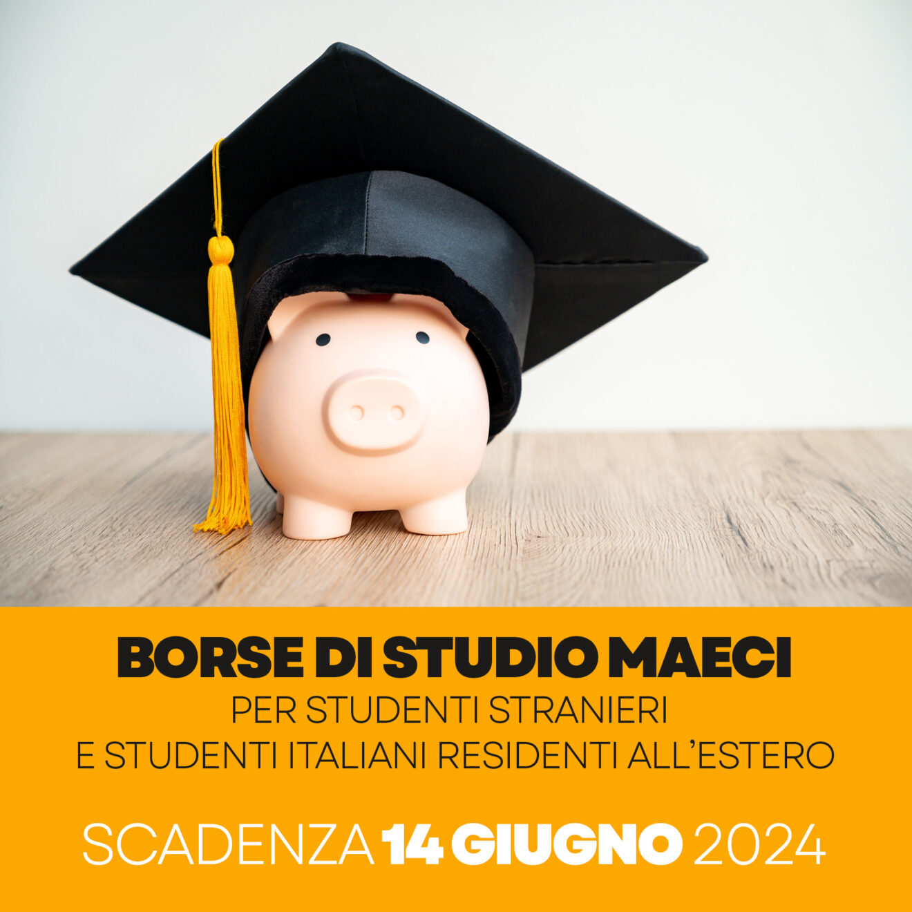 Borse di studio MAECI per studenti stranieri e italiani residenti all'estero - candidature entro il 14 giugno 2024