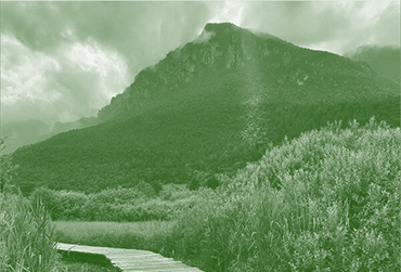 11/11/2025 - Patrimoni oltre natura e cultura - Università per Stranieri di Perugia